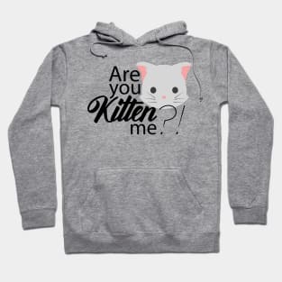 Are you Kitten me?! Hoodie